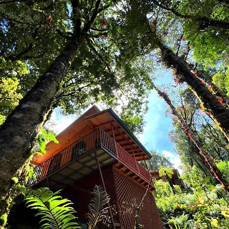 Cabana Anturios San José Kültér fotó