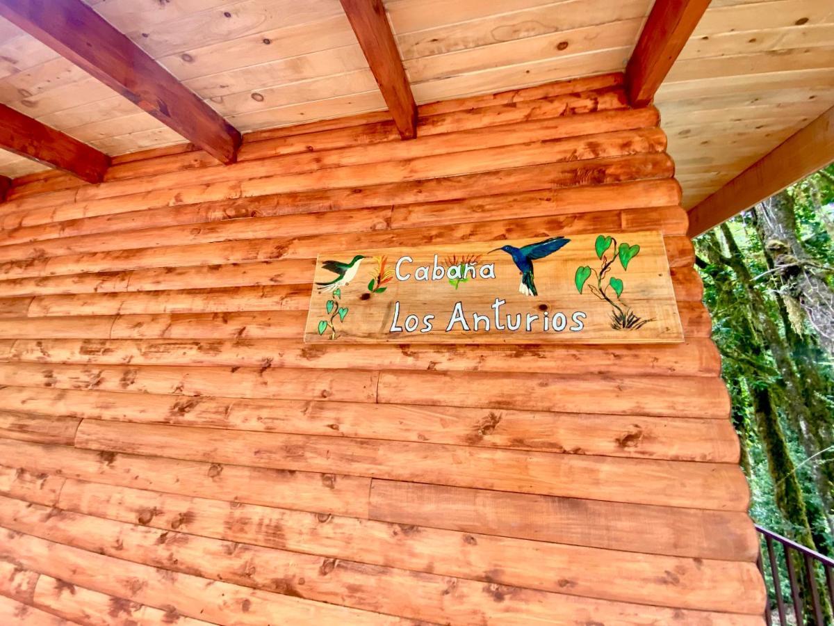 Cabana Anturios San José Kültér fotó