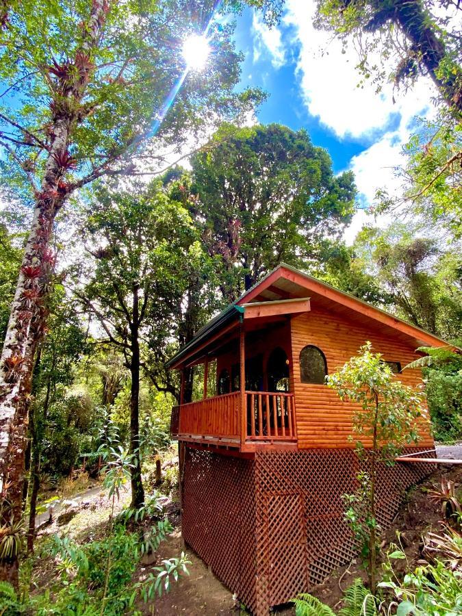 Cabana Anturios San José Kültér fotó