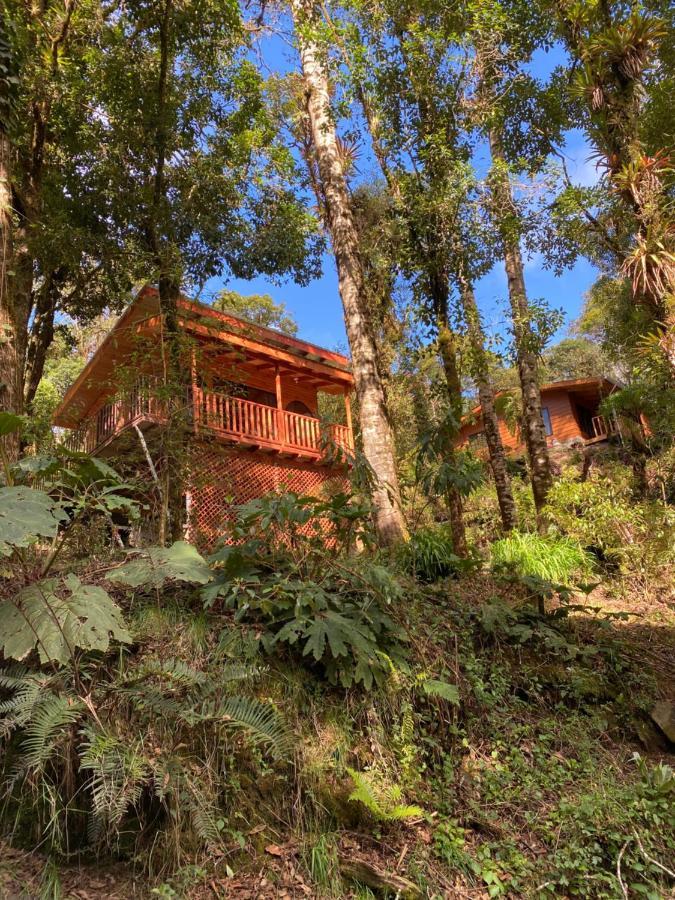 Cabana Anturios San José Kültér fotó