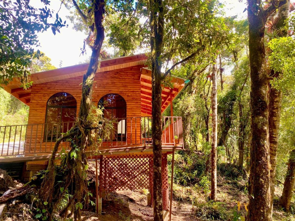 Cabana Anturios San José Kültér fotó
