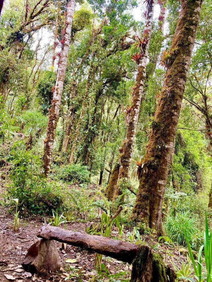 Cabana Anturios San José Kültér fotó