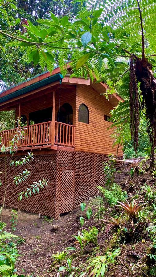 Cabana Anturios San José Kültér fotó