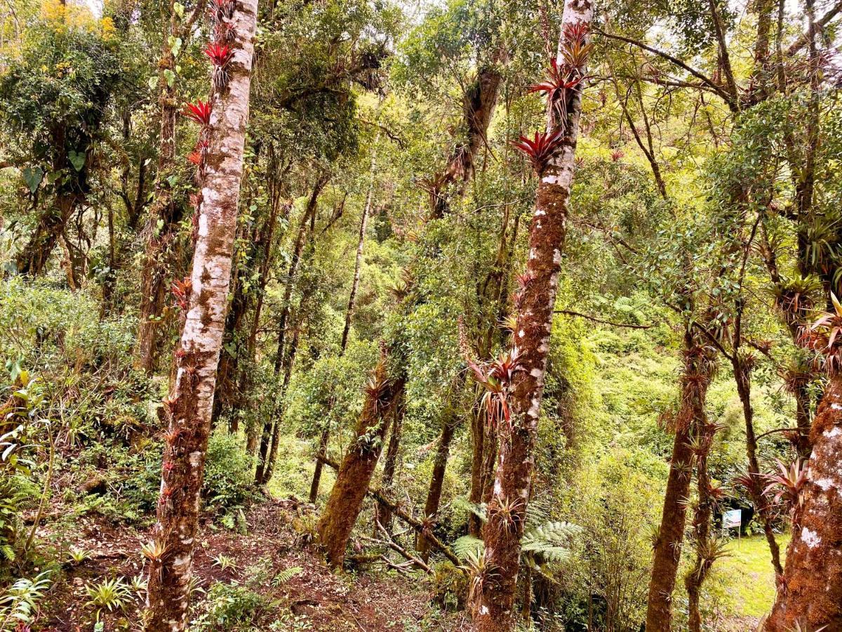 Cabana Anturios San José Kültér fotó
