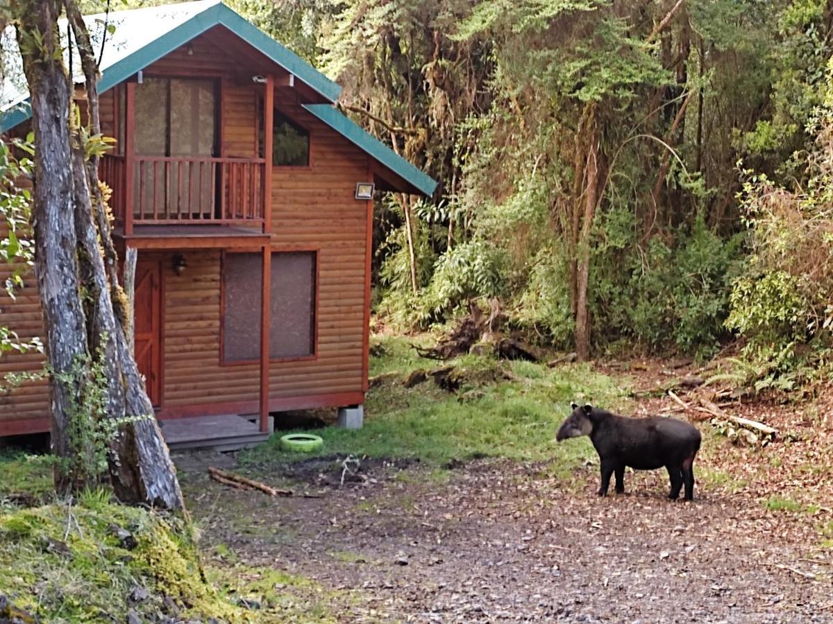 Cabana Anturios San José Kültér fotó