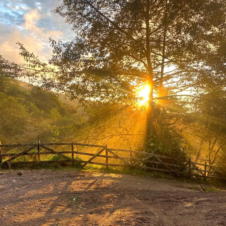 Cabana Anturios San José Kültér fotó