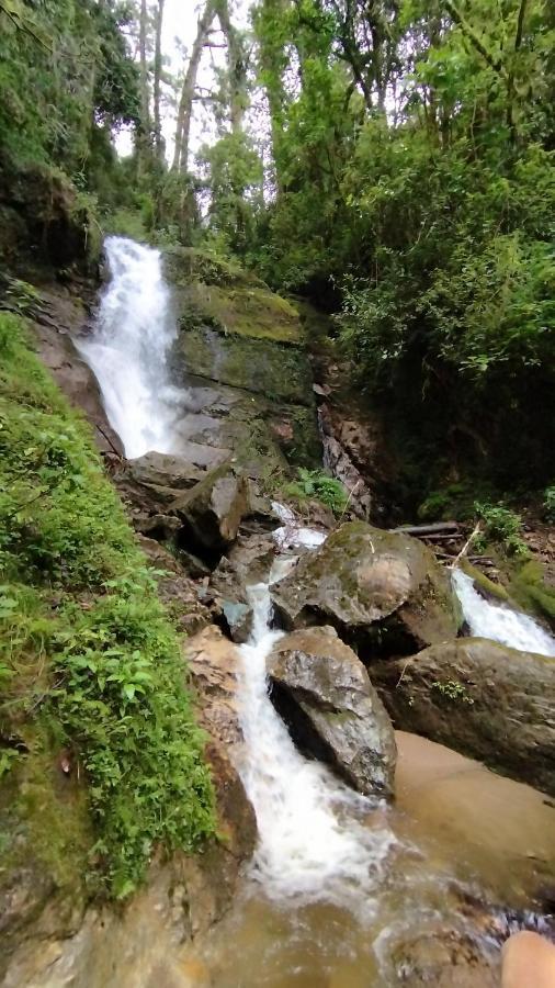 Cabana Anturios San José Kültér fotó