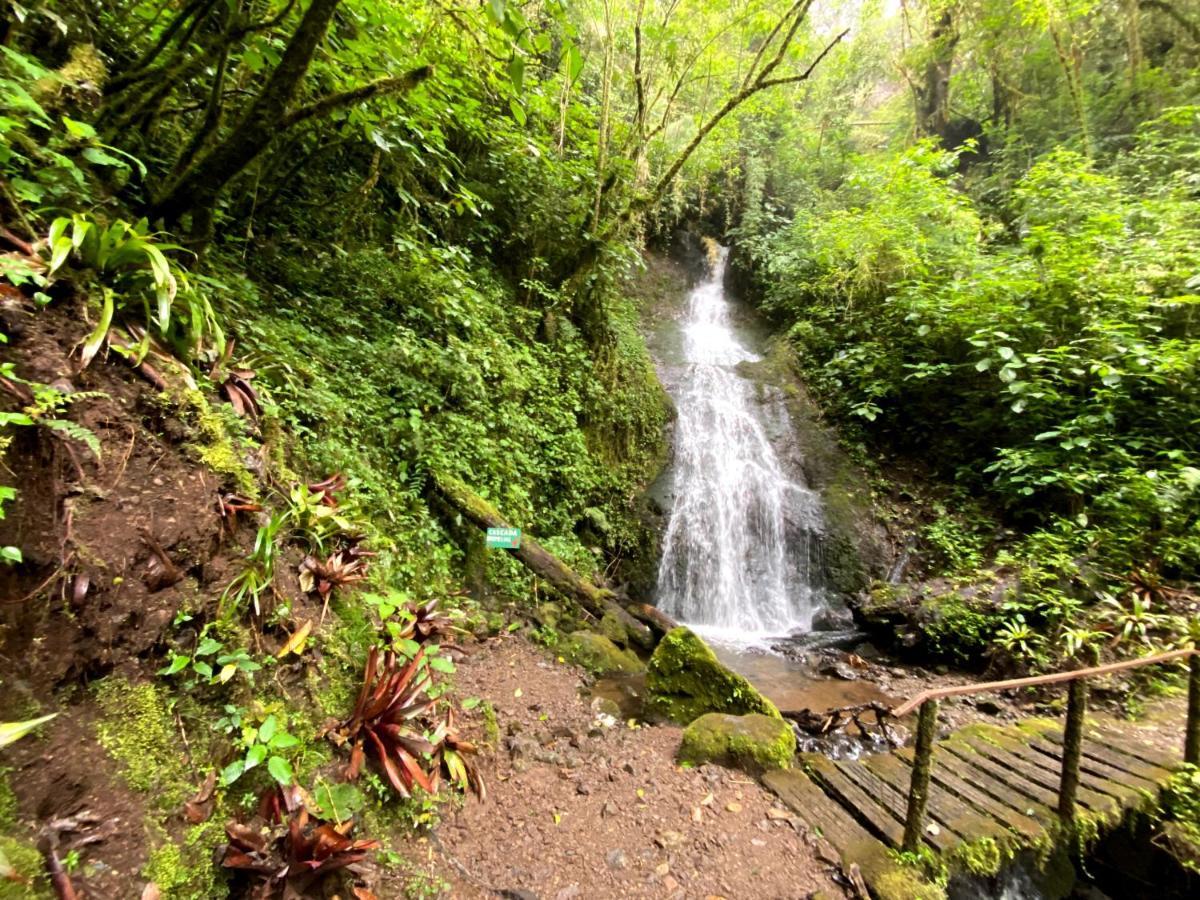 Cabana Anturios San José Kültér fotó