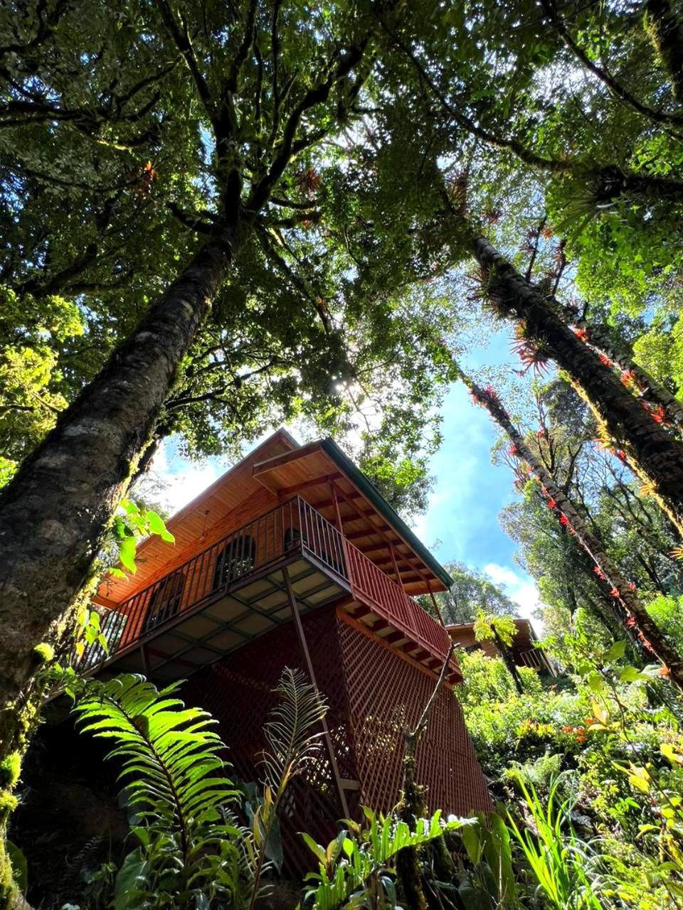 Cabana Anturios San José Kültér fotó