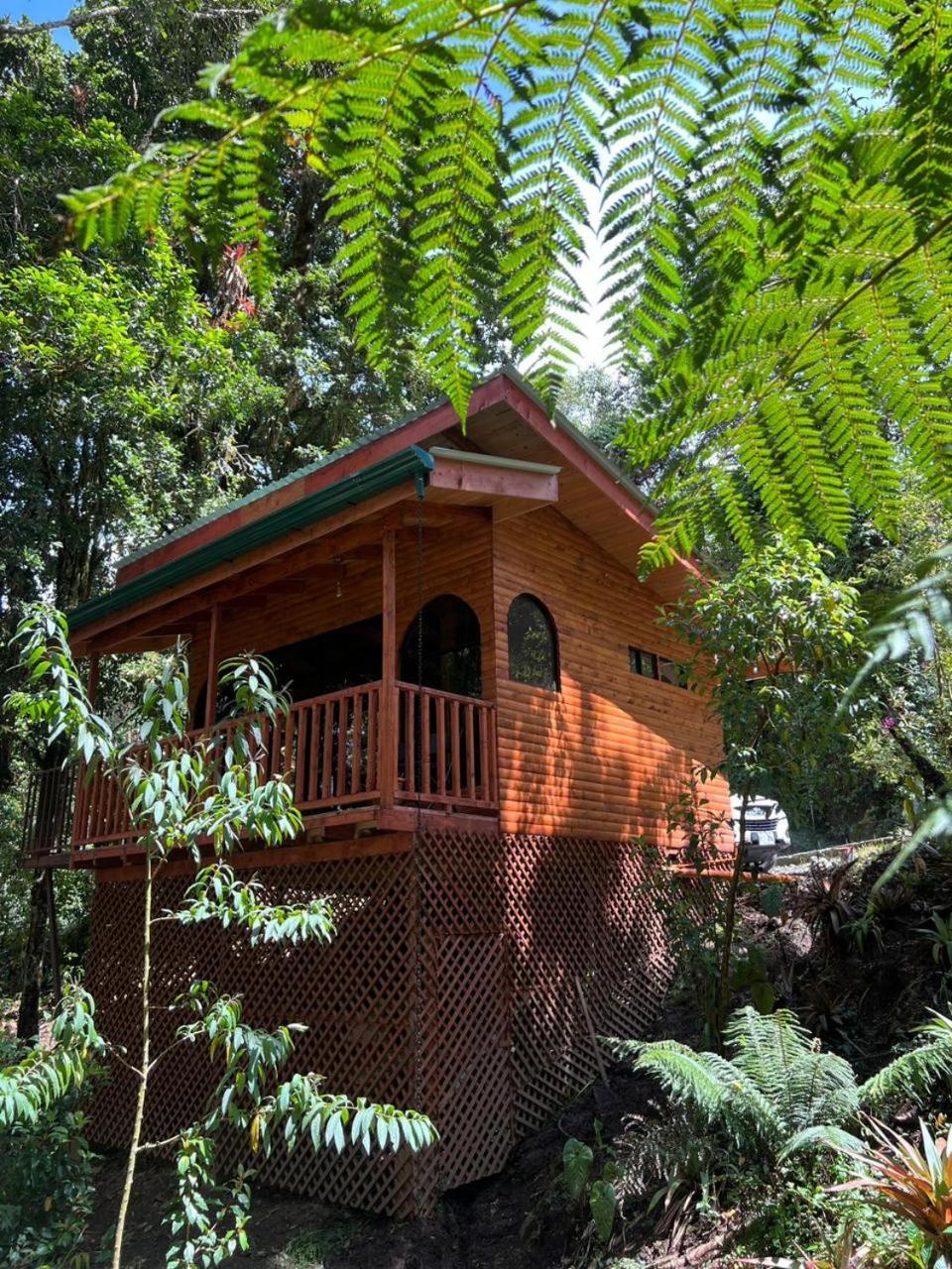 Cabana Anturios San José Kültér fotó