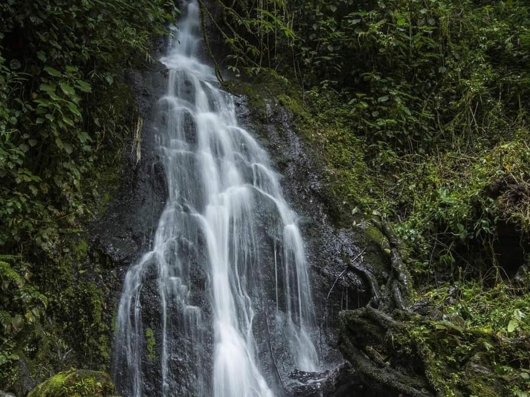 Cabana Anturios San José Kültér fotó
