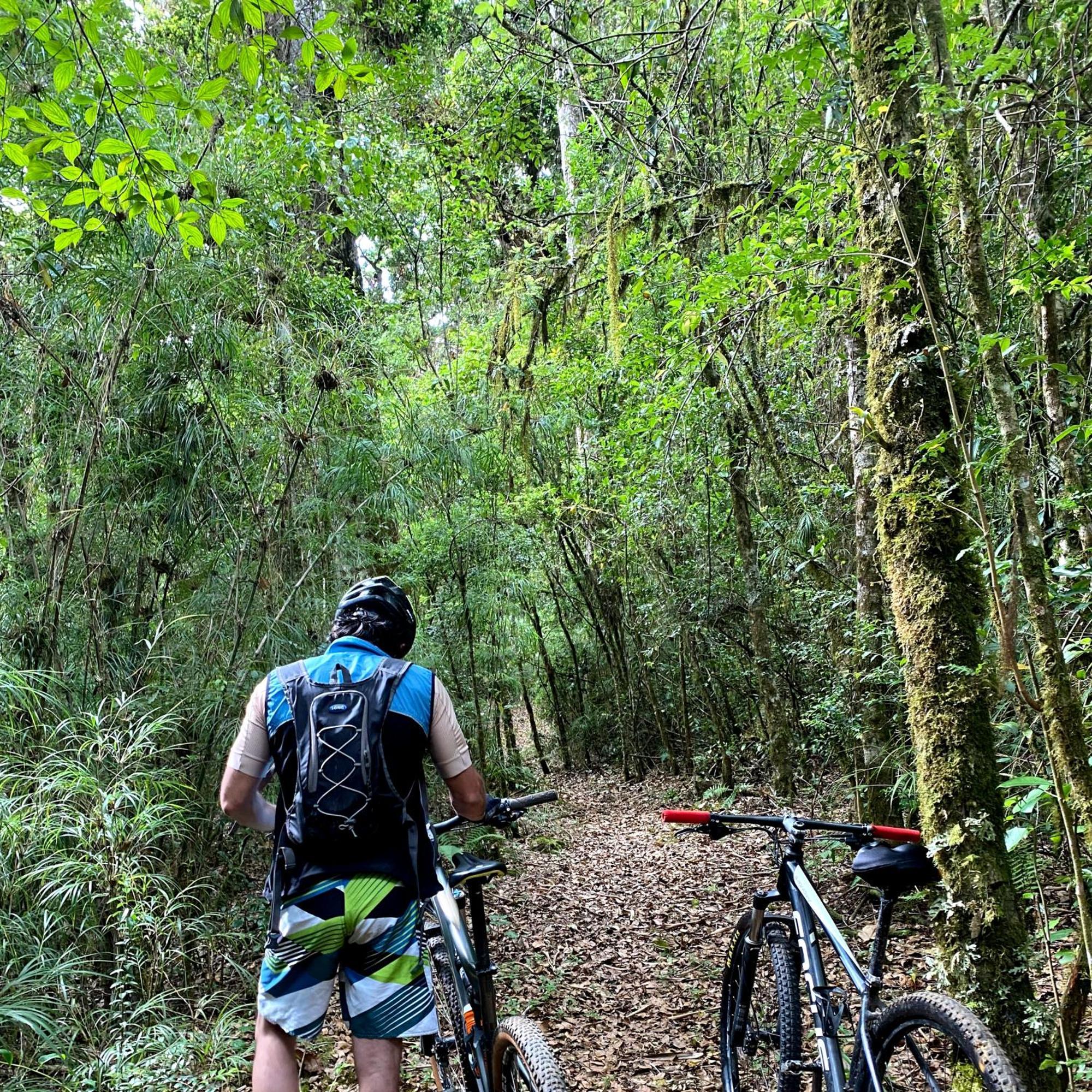 Cabana Anturios San José Kültér fotó